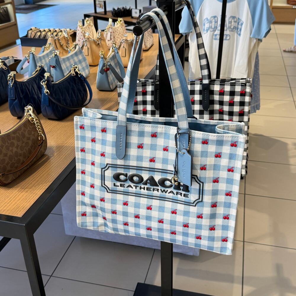 Coach Tote Bag With Gingham Print  CES71 Gold/Blue Multi